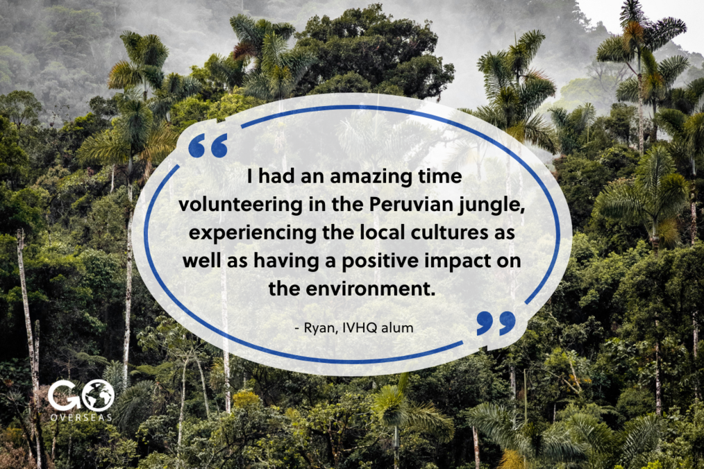 Graphic showing quote from alum